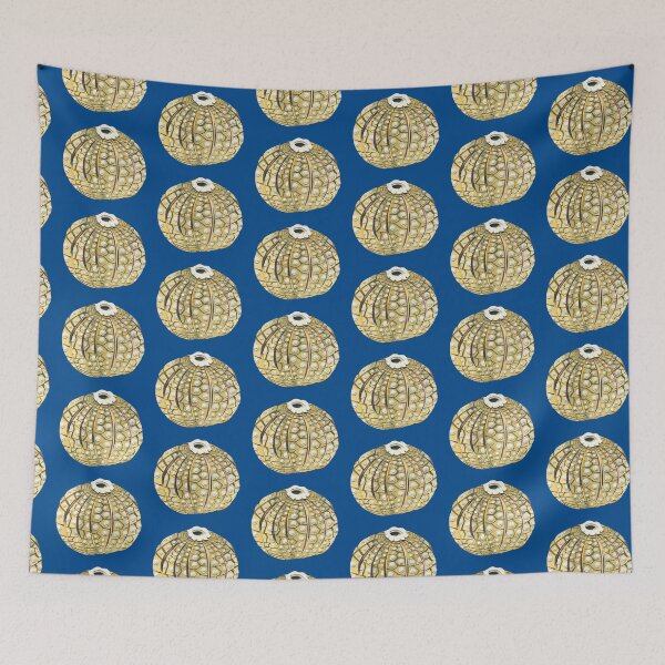 Item preview, Sea Urchin designed and sold by SarahSnippets.
