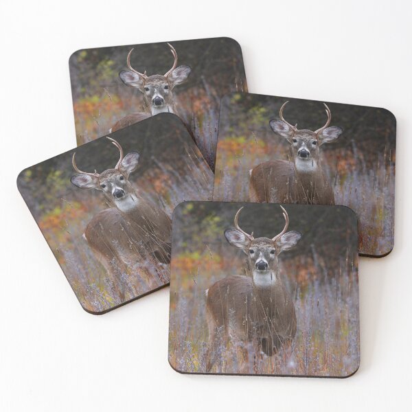 Item preview, The Prince - White-tailed Deer designed and sold by James Cumming.