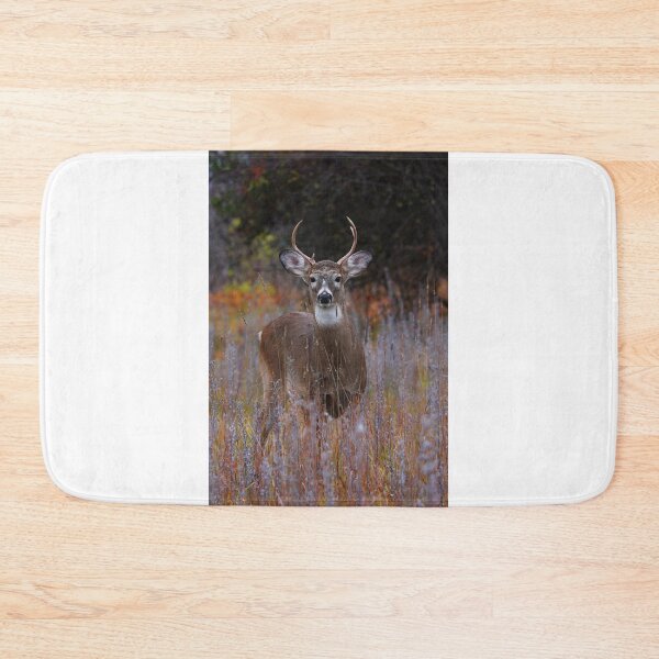 Item preview, The Prince - White-tailed Deer designed and sold by James Cumming.