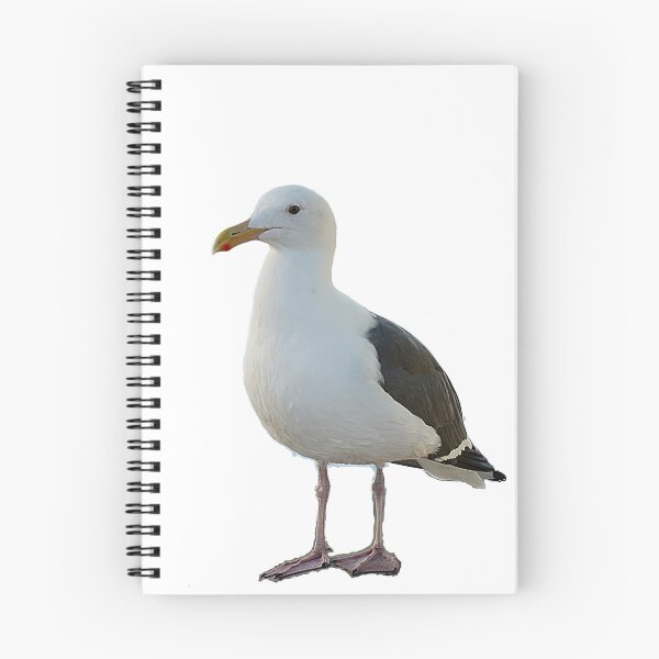 Item preview, Disapproving Gull designed and sold by Harrisonphoto.