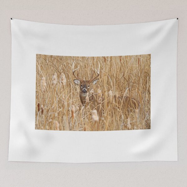 Item preview, Marsh King - White-tailed deer Buck designed and sold by James Cumming.