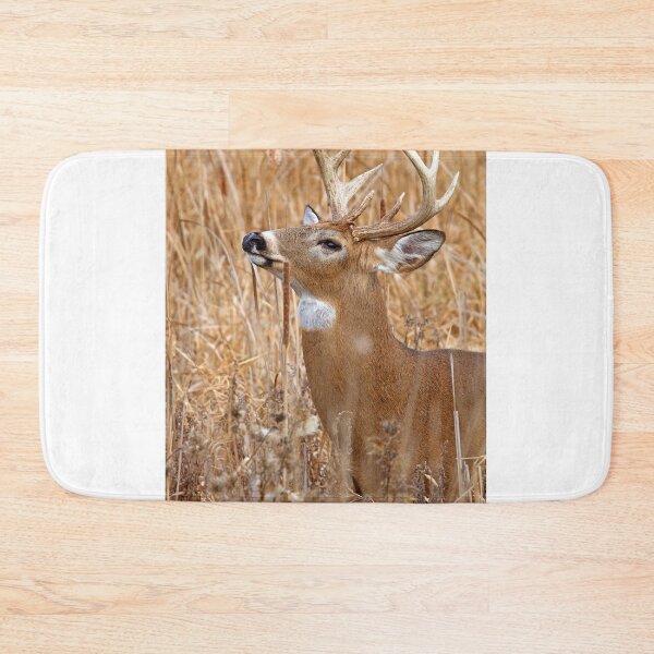 Item preview, Love is in the air - White-tailed deer designed and sold by James Cumming.
