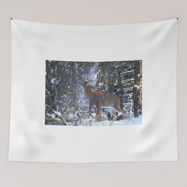 Item preview, Snow Shower - White-tailed Buck designed and sold by James Cumming.