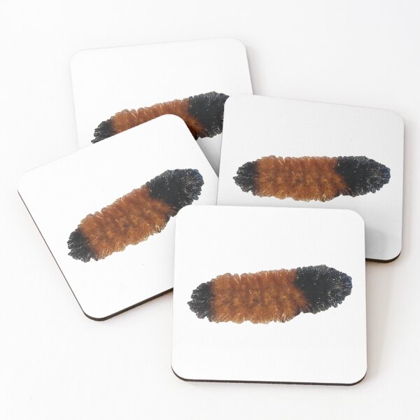 Item preview, Wooly Caterpillar designed and sold by Christine  Bialczak.