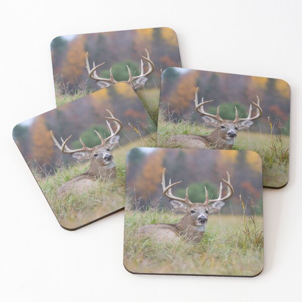 Item preview, Autumn in Canada - White tailed deer Buck designed and sold by James Cumming.
