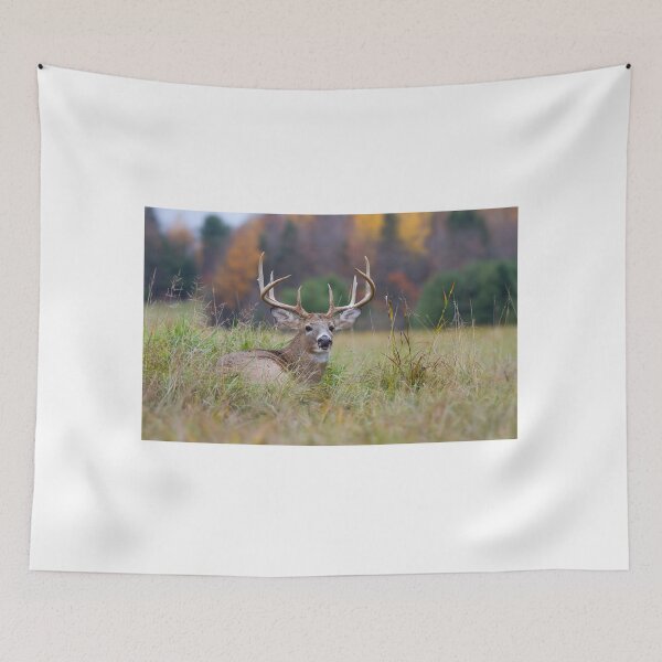 Item preview, Autumn in Canada - White tailed deer Buck designed and sold by James Cumming.
