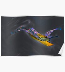 Sandhill Cranes in Gray and Red Poster