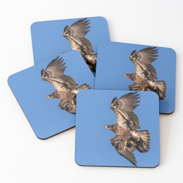 Item preview, Juvenile Eagle 2019-1 designed and sold by Thomasyoung.