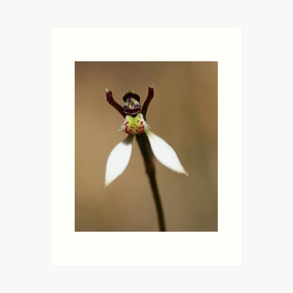 Item preview, Hands up! designed and sold by LeeoPhotography.