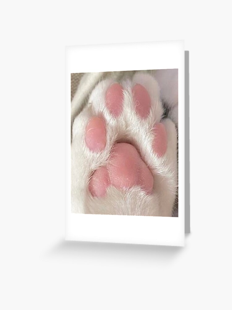 Pink Toe Beans