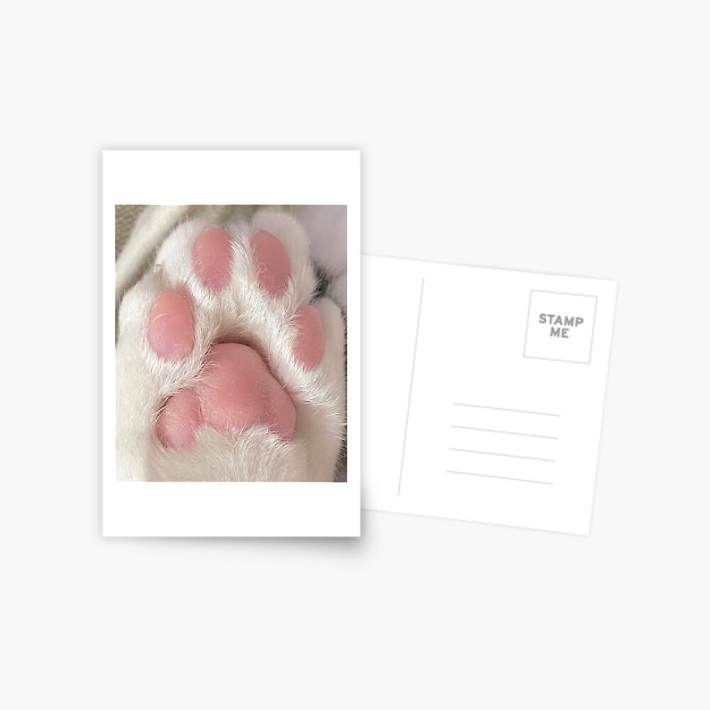 Pink Toe Beans Postcard By 90shelly90 Redbubble