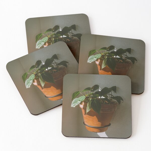 Item preview, Philodendron Micans in morning sunlight designed and sold by Chee Sim.