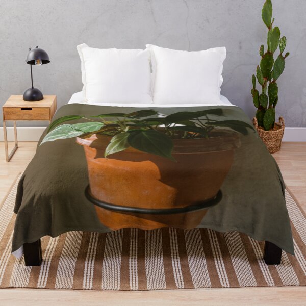 Item preview, Philodendron Micans in morning sunlight designed and sold by Chee Sim.