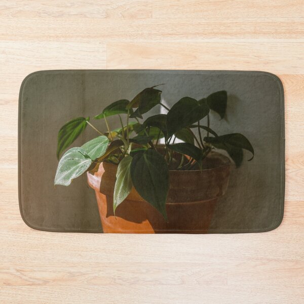Item preview, Philodendron Micans in morning sunlight designed and sold by Chee Sim.