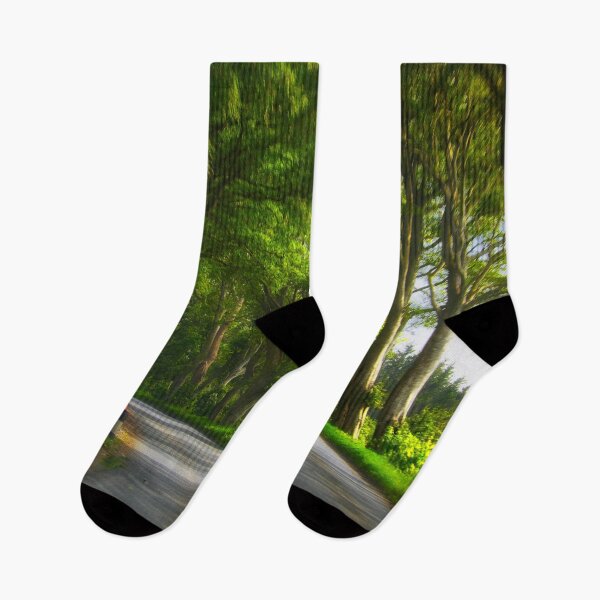 Item preview, Tree Tunnel, Aberdeenshire, Scotland, UK designed and sold by Yannik Hay.