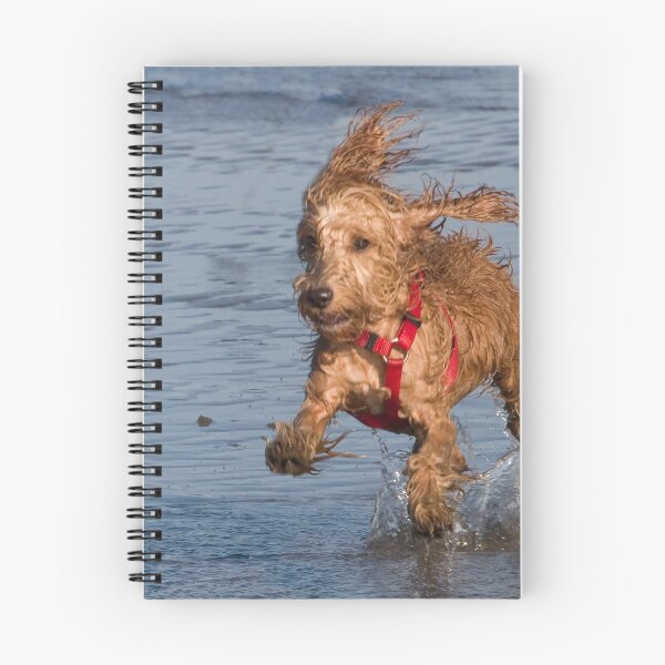 Item preview, I LOVE the Water! designed and sold by Marylou Badeaux.
