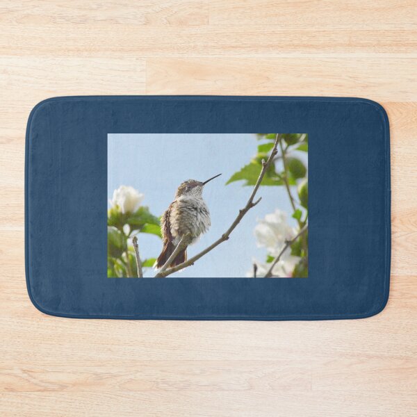 Item preview, Hummer fluffing its feathers designed and sold by Laurie Minor.