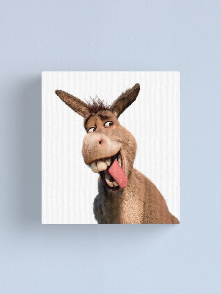 Shrek And Donkey Meme Canvas Prints for Sale