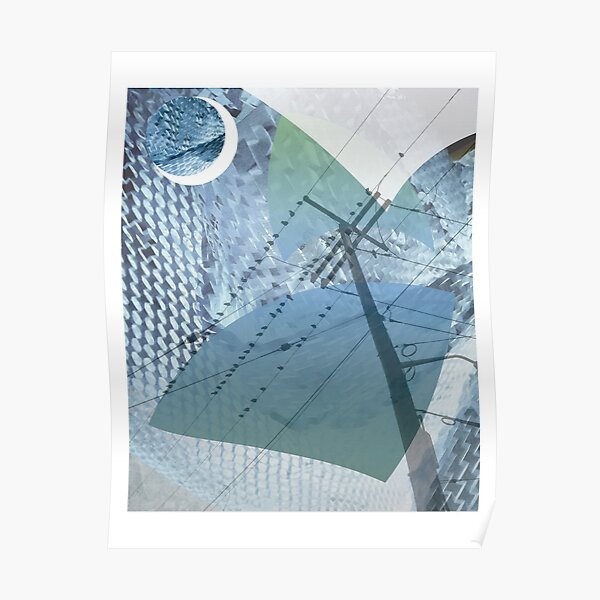 Birds on wires Poster