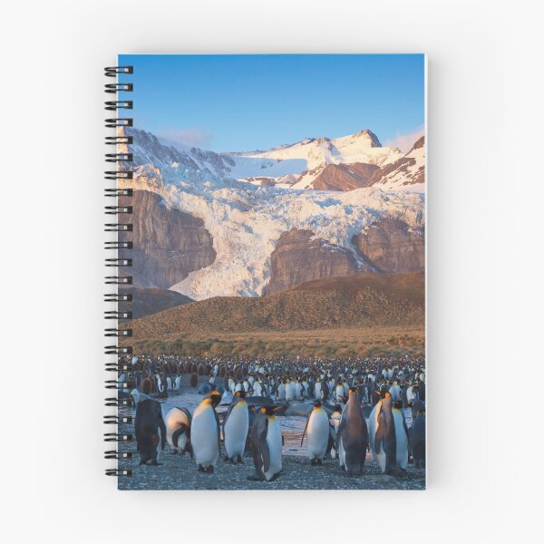 Item preview, Sunrise, Gold Harbour, South Georgia Island designed and sold by Travelimages.com.au.