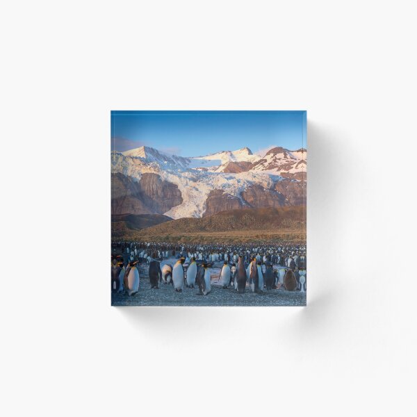 Item preview,  Isla Georgia del Sur designed and sold by Travelimages.com.au.