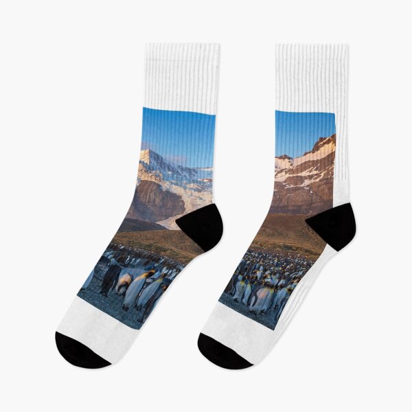 Item preview, Sunrise, Gold Harbour, South Georgia Island designed and sold by Travelimages.com.au.
