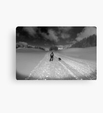 cross country Metal Print
