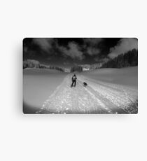 cross country Canvas Print