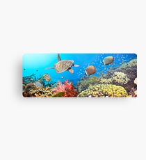 Underwater panorama Leinwanddruck
