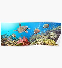 Underwater panorama Poster