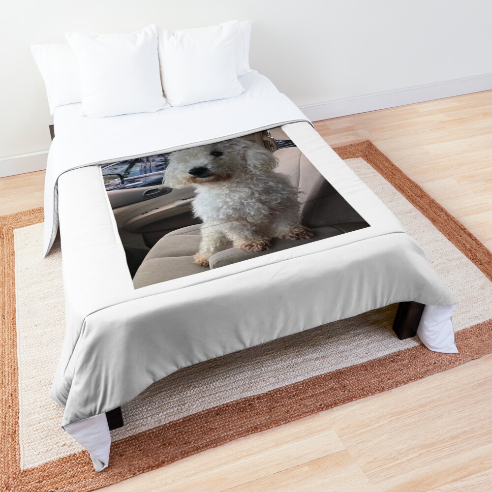 poodle comforter