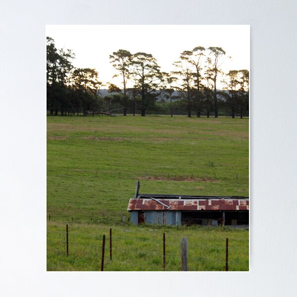 Item preview, LUDDENHAM NSW SUNSET designed and sold by briangardphoto.