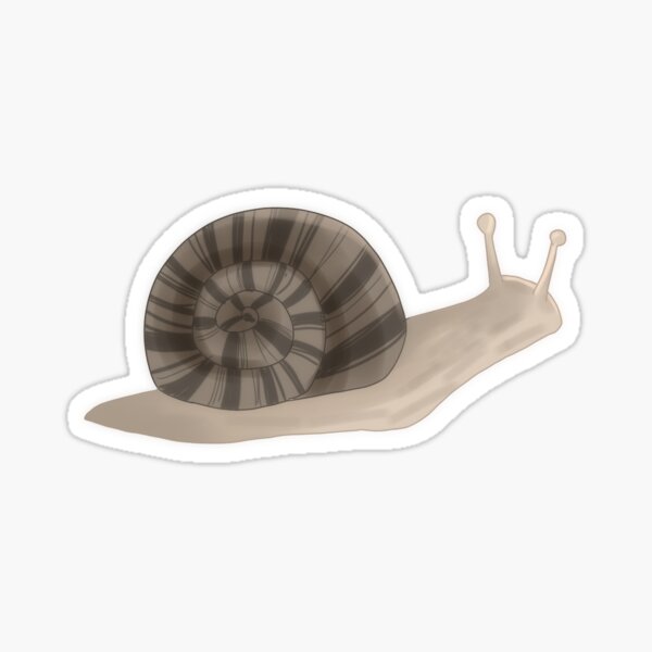 Artikel-Vorschau von Schnecke, designt und verkauft von snoozingdog ♡.
