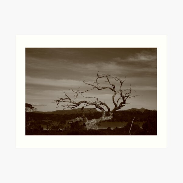 Lake Windermere spirit #1 Art Print