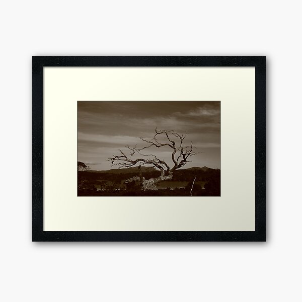 Lake Windermere spirit #1 Framed Art Print