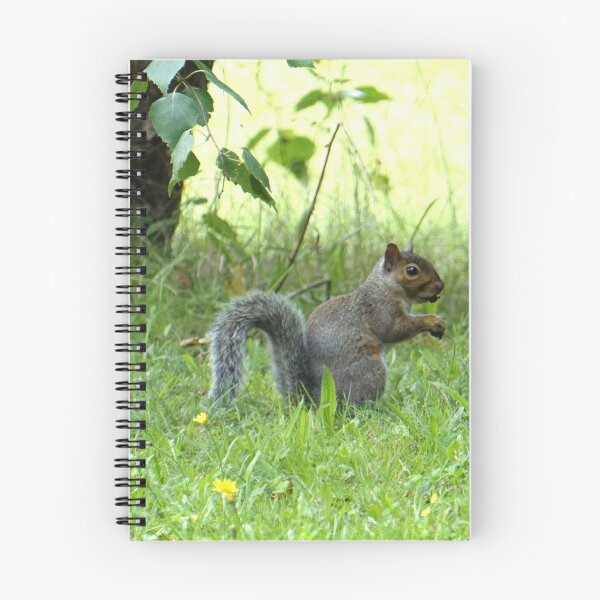 Item preview, Grey Squirrel designed and sold by NikkiMatthews.