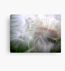 Dust in the Wind Canvas Print