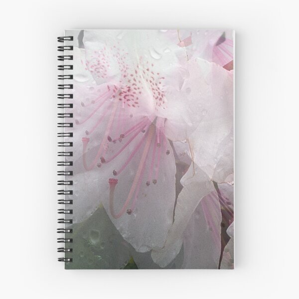 Item preview, Sheer Delight designed and sold by psphotogallery.