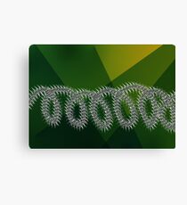 Barbed wire and nature Canvas Print