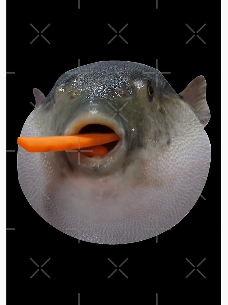 "Puffer fish Meme" Poster for Sale by artsylab | Redbubble