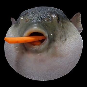 Augh, eugh (Puffer Fish Eating Carrot) | Laptop Skin