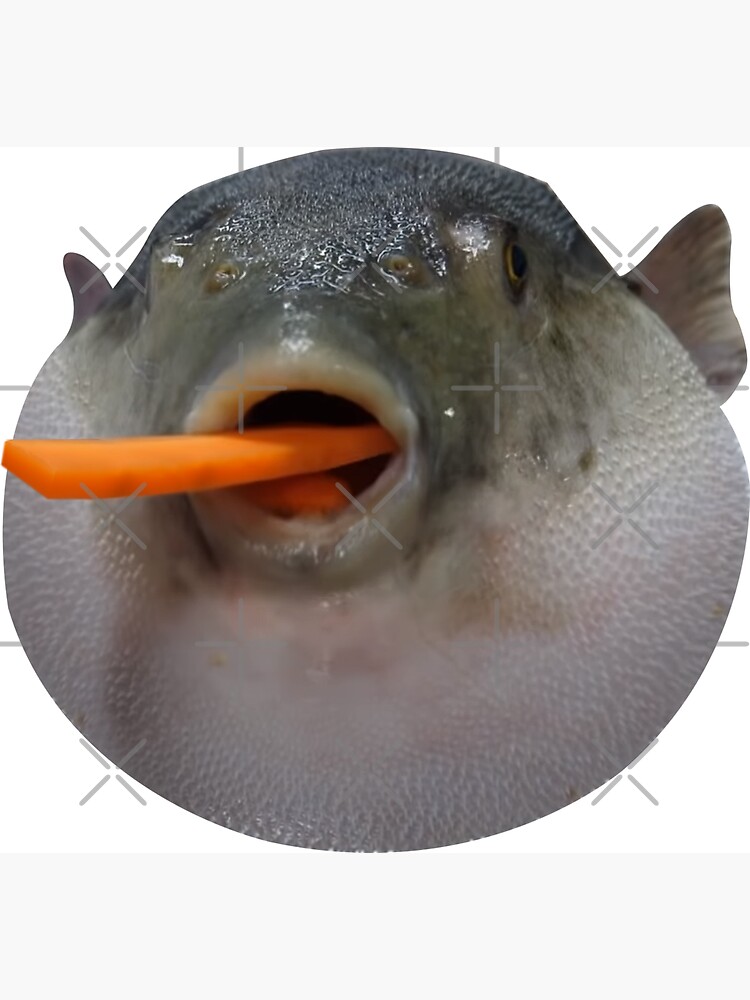 "Puffer fish Meme" Magnet for Sale by artsylab | Redbubble