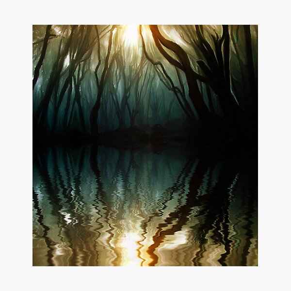 Nature Reflection Photographic Print