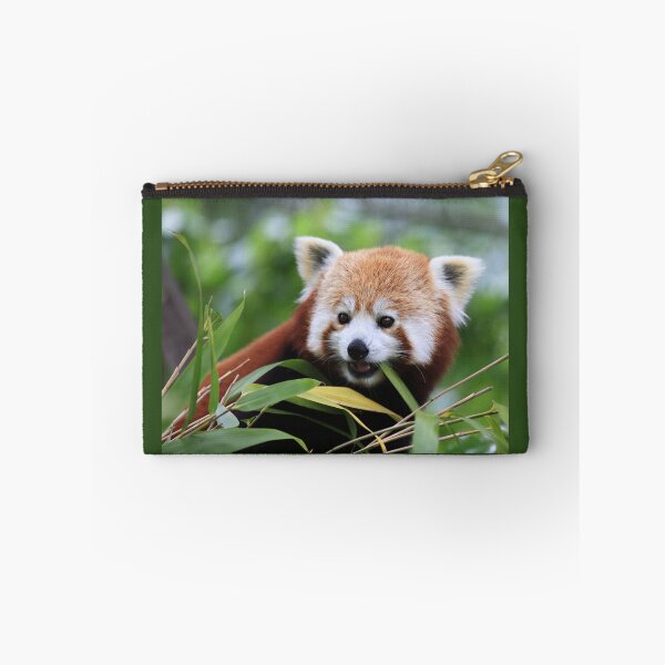 Item preview, Young Red Panda designed and sold by Sheila Smith.