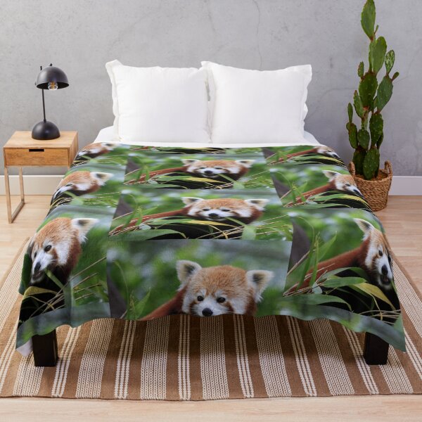 Item preview, Young Red Panda designed and sold by Sheila Smith.
