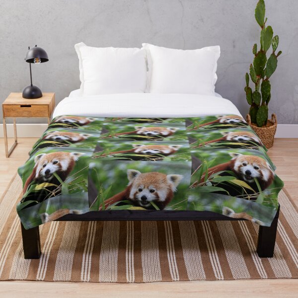 Item preview, Young Red Panda designed and sold by Sheila Smith.