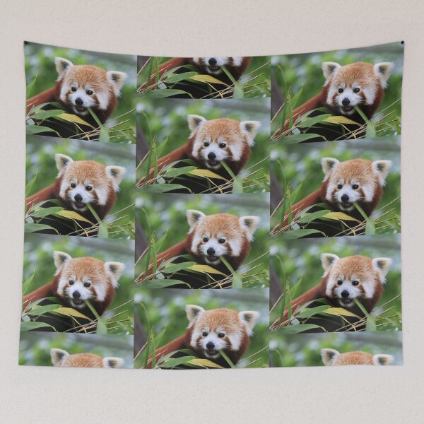 Item preview, Young Red Panda designed and sold by Sheila Smith.