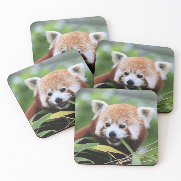 Item preview, Young Red Panda designed and sold by Sheila Smith.