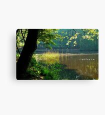 At the spring pond Canvas Print