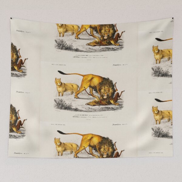 Artikelvorschau, Large maned Lion vintage illustration entworfen und verkauft von Vintage Designs +.